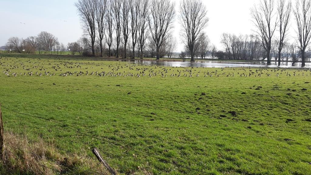 Ferienwohnung Eulenturm Xanten Zewnętrze zdjęcie
